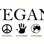 e tu sei vegan?