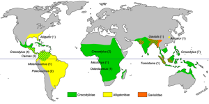 Crocodylia_biogeography