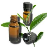 tea tree oil.1