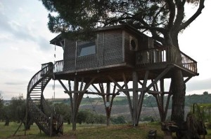 Casa sull'albero presso l'agriturismo "La Piantata" di Viterbo