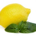 lemon-and-basil-e1274935510500-300x225